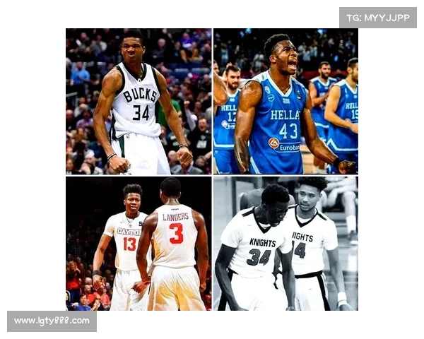 字母哥国籍背景与篮球生涯发展关系分析探讨